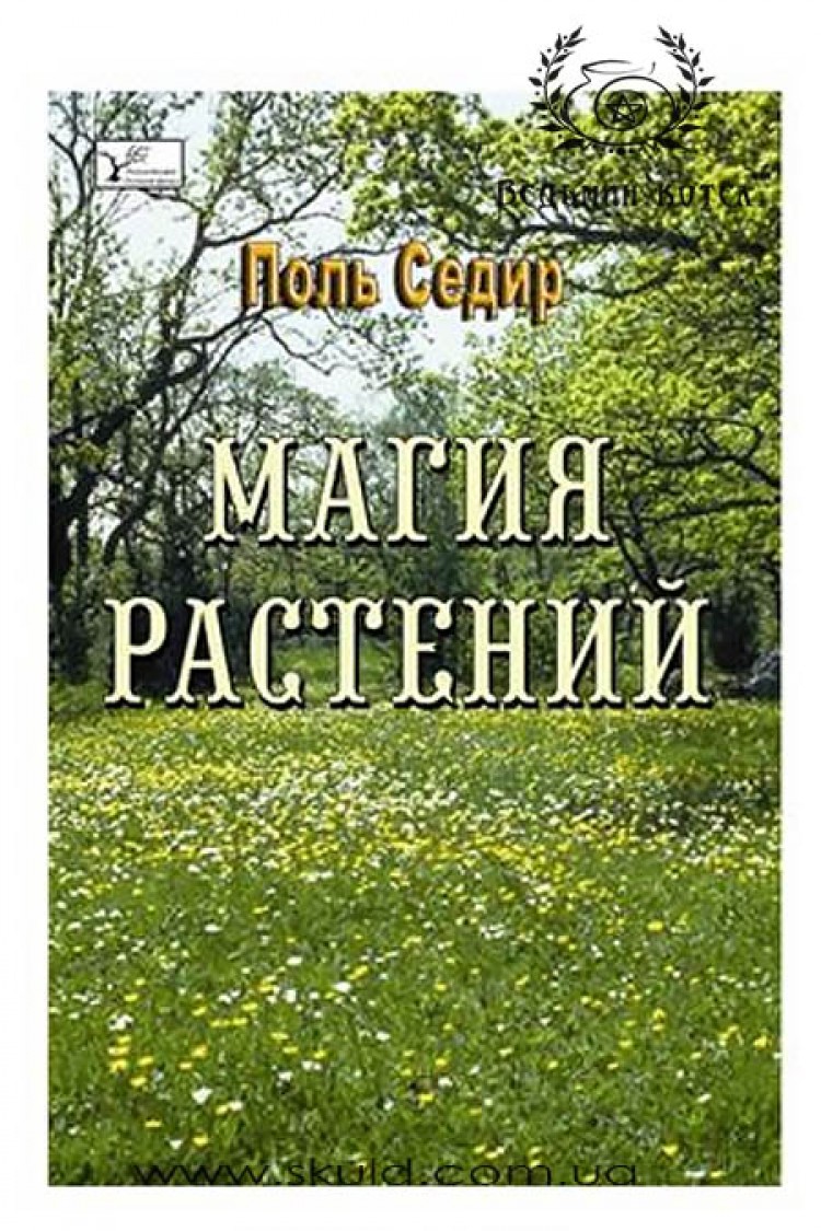 Успенский П. Символы Таро. Разговоры с дьяволом